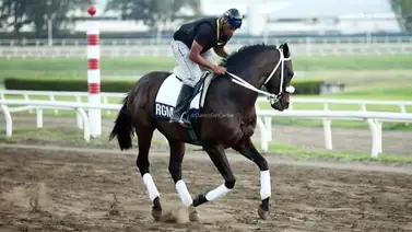 Serie Hípica 2023: Li Tre Fratelli y Pádel dejan este peso en la balanza del Hipódromo Presidente Remón Serie Hípica 2023: Li Tre Fratelli y Pádel dejan este peso en la balanza del Hipódromo Presidente Remón