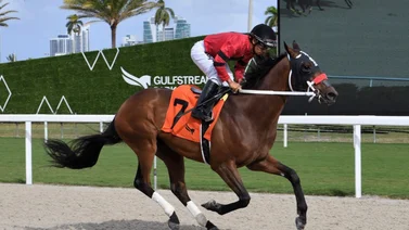 Jinete mexicano destaca este viernes en hipódromo de Estados Unidos