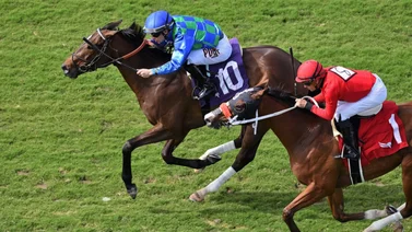 Así quedaron los resultados de las carreras de Gulfstream Park 8-12-2023