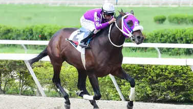 Aquí podrás ver la Serie Hípica del Caribe Aquí podrás ver la Serie Hípica del Caribe