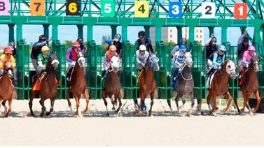 Datos de Última Hora para Gulfstream Park 9-12-2023