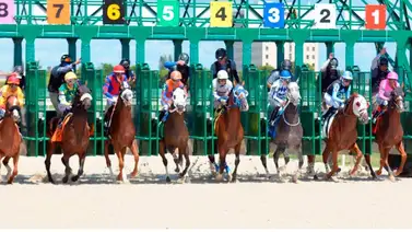 Datos de Última Hora para Gulfstream Park 9-12-2023 Datos de Última Hora para Gulfstream Park 9-12-2023