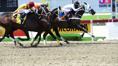 ¿Cómo queda el ajuste de este ejemplar conducido por Arquímedes Pérez para el 5y6 dominical? Aquí te lo mencionamos ¿Cómo queda el ajuste de este ejemplar conducido por Arquímedes Pérez para el 5y6 dominical? Aquí te lo mencionamos