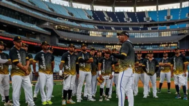 LVBP: ¿Qué ocurre con el pitcheo de Leones del Caracas en los últimos juegos? (+Números)
