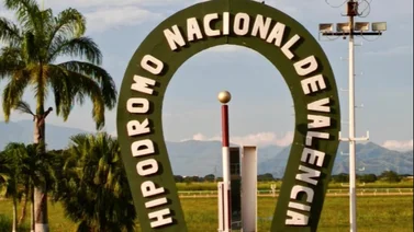 Estos son los retirados del Hipódromo de Valencia 9-12-2023