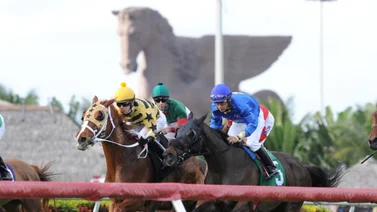 Cambios y Retirados para Gulfstream Park 9-12-2023