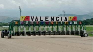 5y6 de Valencia cierra el año con este monto récord en su jugada