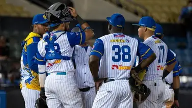 LVBP: El Navegantes del Magallanes anuncia a su nuevo importado (+Detalles) LVBP: El Navegantes del Magallanes anuncia a su nuevo importado (+Detalles)