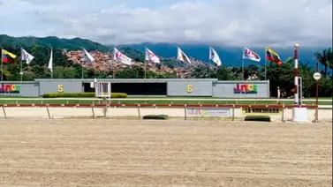 Aquí están los favoritos de la cátedra para el 5y6 Nacional de la reunión 48 en La Rinconada Aquí están los favoritos de la cátedra para el 5y6 Nacional de la reunión 48 en La Rinconada