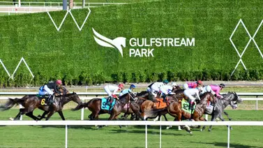 Datos de Última Hora para Gulfstream Park 10-12-2023 Datos de Última Hora para Gulfstream Park 10-12-2023