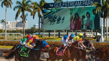 Cambios y Retirados para Gulfstream Park 10-12-2023