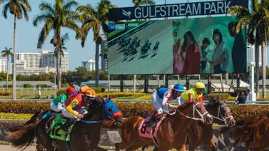 Cambios y Retirados para Gulfstream Park 10-12-2023 Cambios y Retirados para Gulfstream Park 10-12-2023