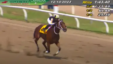Serie Hípica 2023: La venezolana Lyndacarter domina con mucha autoridad la Copa Confraternidad de Hembras Serie Hípica 2023: La venezolana Lyndacarter domina con mucha autoridad la Copa Confraternidad de Hembras