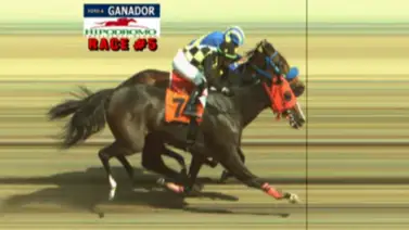 Serie Hípica 2023: Tequila de Venezuela gana por foto la Copa Dama del Caribe Serie Hípica 2023: Tequila de Venezuela gana por foto la Copa Dama del Caribe