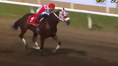 Serie Hípica 2023: El norteamericano Paid Twice gana de punta a punta la Copa Invitacional de Importados Serie Hípica 2023: El norteamericano Paid Twice gana de punta a punta la Copa Invitacional de Importados