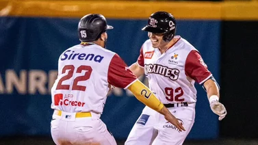 LIDOM: Estos son los resultados de este domingo 10 de diciembre en la liga dominicana
