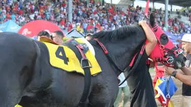 El de Froix iguala a My Own Business en el Caribe en este clásico El de Froix iguala a My Own Business en el Caribe en este clásico