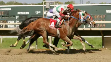 Datos de Última Hora para Parx Racing 11-12-2023 Datos de Última Hora para Parx Racing 11-12-2023