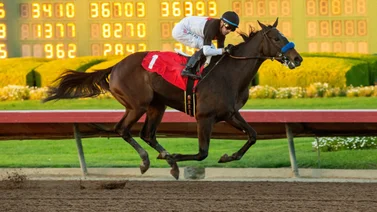 Bob Baffert lo vuelve a hacer y logra este récord en Estados Unidos