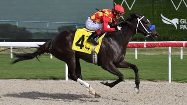 Estos jinetes puertorriqueños brillan el domingo en Gulfstream Park