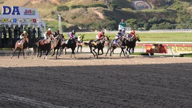 INH cierra el año con tres clásicos en la reunión 49 de La Rinconada