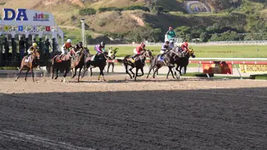 INH cierra el año con tres clásicos en la reunión 49 de La Rinconada INH cierra el año con tres clásicos en la reunión 49 de La Rinconada
