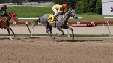 Arcano comanda la nómina del Clásico Comparación en la reunión 49 de La Rinconada Arcano comanda la nómina del Clásico Comparación en la reunión 49 de La Rinconada
