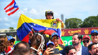 Serie Hípica 2023: Purasangres venezolanos inician proceso de retorno