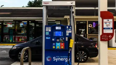 Precio del combustible en Florida se desploma: Conoce cuánto tienes que pagar por cada galón de gasolina (+Precios) Precio del combustible en Florida se desploma: Conoce cuánto tienes que pagar por cada galón de gasolina (+Precios)