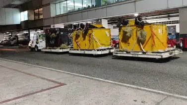 Serie Hípica 2023: Ejemplares criollos ya están en suelo venezolano Serie Hípica 2023: Ejemplares criollos ya están en suelo venezolano