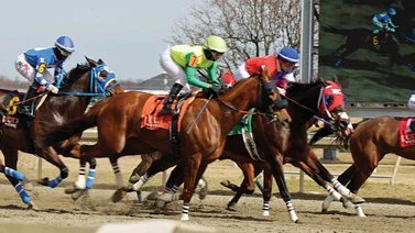 Cambios y Retirados para Parx Racing 12-12-2023