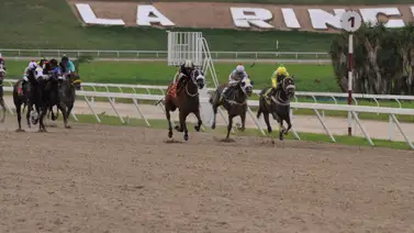 Clásico Cañonero va con 11 dosañeros en la última selectiva del 2023 de La Rinconada Clásico Cañonero va con 11 dosañeros en la última selectiva del 2023 de La Rinconada