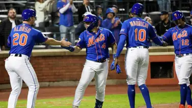 MLB: Este es el diagnóstico de la lesión del valioso prospecto dominicano de los Mets (+Video) MLB: Este es el diagnóstico de la lesión del valioso prospecto dominicano de los Mets (+Video)
