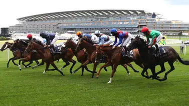 Tres grandes hipódromos del mundo se unen para lograr este interesante acuerdo Tres grandes hipódromos del mundo se unen para lograr este interesante acuerdo