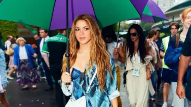 ¡Sigue la persecución! Shakira es acosada mientras pasea por un campo de fútbol (+Video) ¡Sigue la persecución! Shakira es acosada mientras pasea por un campo de fútbol (+Video)