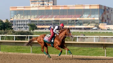 Así quedaron los resultados de Parx Racing 12-12-2023