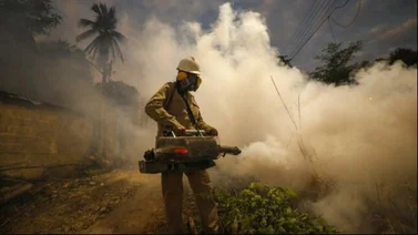Gobierno Nacional realiza jornadas de fumigación contra el dengue 