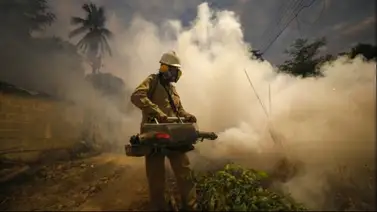 Gobierno Nacional realiza jornadas de fumigación contra el dengue Gobierno Nacional realiza jornadas de fumigación contra el dengue