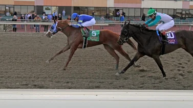 Cambios y Retirados para Parx Racing 13-12-2023