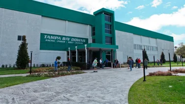 Cambios y Retirados para Tampa Bay Downs 13-12-2023