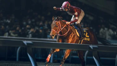 Potro invicto logra sus primeros puntos en la ruta al Kentucky Derby 2024