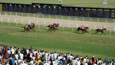 Catorce anotados quedan para el Gran Premio Carlos Pellegrini del sábado en Argentina Catorce anotados quedan para el Gran Premio Carlos Pellegrini del sábado en Argentina