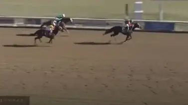 Jockey venezolano se luce en este hipódromo de Estados Unidos (+video) Jockey venezolano se luce en este hipódromo de Estados Unidos (+video)