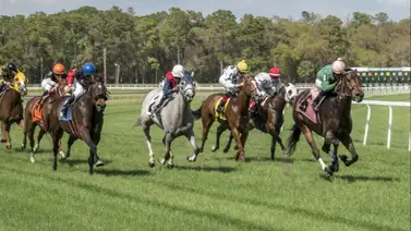 Así quedaron los resultados de las carreras de Tampa Bay Downs 13-12-2023 Así quedaron los resultados de las carreras de Tampa Bay Downs 13-12-2023