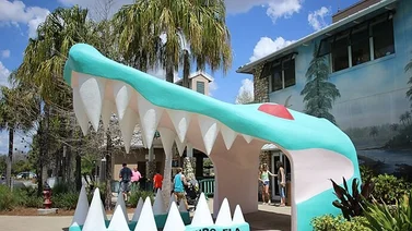 ¡Sorprendente! Nace la criatura “más extraña del mundo” en Florida (+Video)