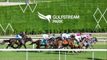 Estos son los Best Bet para hoy 14 de diciembre de 2023 en Gulfstream Park Estos son los Best Bet para hoy 14 de diciembre de 2023 en Gulfstream Park