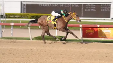 Así fue el ajuste de la línea de Gaceta Hípica en la última reunión del año en La Rinconada Así fue el ajuste de la línea de Gaceta Hípica en la última reunión del año en La Rinconada