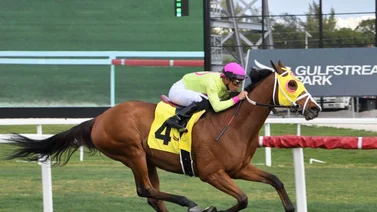 Este es el jockey norteamericano que más carreras ha ganado en 2023 en Estados Unidos