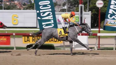 Conoce el ajuste de Arcano rumbo al Clásico Comparación el domingo en La Rinconada Conoce el ajuste de Arcano rumbo al Clásico Comparación el domingo en La Rinconada