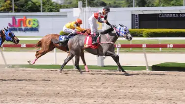 Mira el ajuste de la principal favorita en el Clásico Senegal en la reunión 49 de La Rinconada Mira el ajuste de la principal favorita en el Clásico Senegal en la reunión 49 de La Rinconada